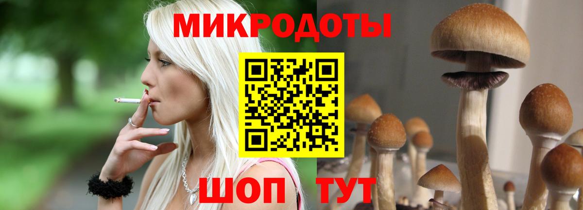 Псилоцибиновые грибы Psilocybine cubensis  Вход с VPN  Тихорецк 